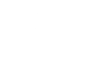ACCIMMO 81