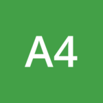 ACTUAL EXPERTS NICE 4022