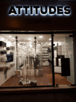 ATTITUDE COIFFURE