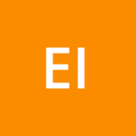 EFFI INTERIM