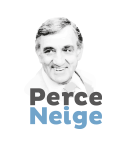 FONDATION PERCE NEIGE