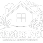 MASTER NET MULTISERVICES