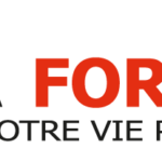 MEDIA FORMATION