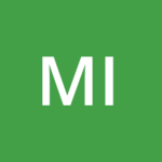 Michael Page Interim