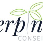 SERPINET CONSEIL RH