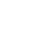 VVO
