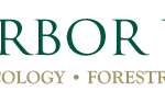 ARBOR VITAE
