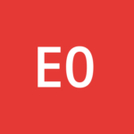 ELICS SERVICES 06700