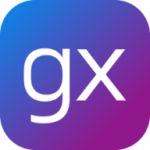 GROUPE 1981