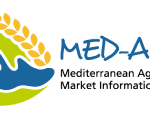 MEDAMI