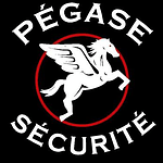 PEGASE SECURITE