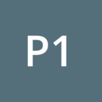 PRO CLIM 17