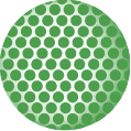 CAPSULARIS