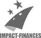 IMPACT FINANCES