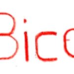 LA BICOQUE