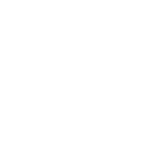 FLYING SEA HORSE