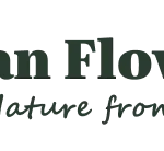 HUMAN FLOW