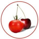TOMATE CERISE