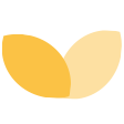 ADL DECORATION