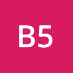 BM 5