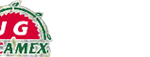 FICAMEX
