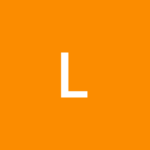 L&P SERVICES