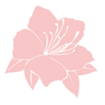 MLLE HIBISCUS
