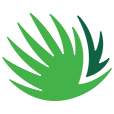 PUNTA CANA