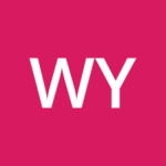 WELDOM YZEURE